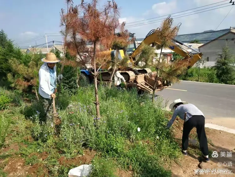 【麦枣村】整治农村环境卫生 打造美丽乡村